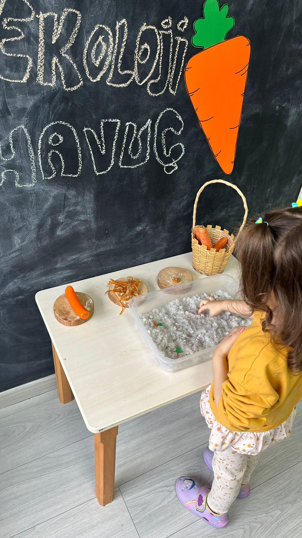 Eğitim yaklaşımlarımız