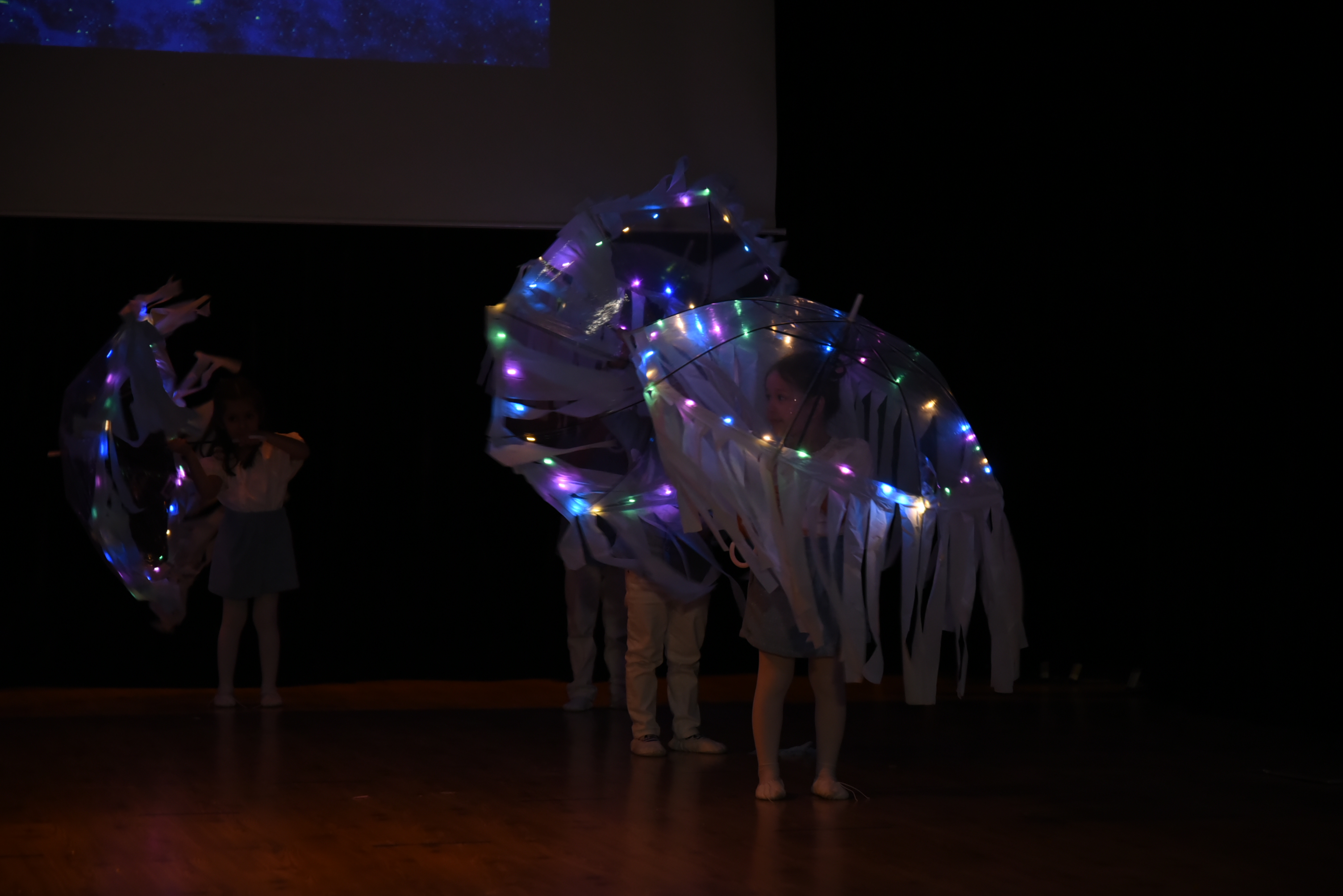 Okulumuzda Yıl Sonu Gösterisi